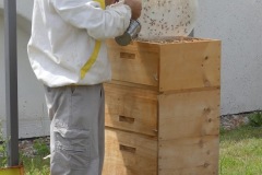 2018.07.21-farma-HUCUL-hostinsti-vcelarici-18