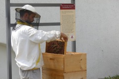 2018.07.21-farma-HUCUL-hostinsti-vcelarici-20