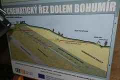Medeny-dul-Bohumir-13.5-02