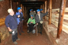Medeny-dul-Bohumir-13.5-06