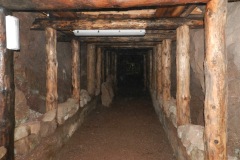 Medeny-dul-Bohumir-13.5-07