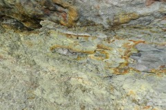 Medeny-dul-Bohumir-13.5-09