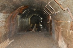 Medeny-dul-Bohumir-13.5-12