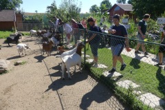 2020.08.01-ZOO-Broumov-02
