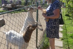 2020.08.01-ZOO-Broumov-04