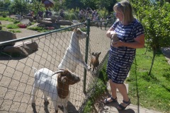 2020.08.01-ZOO-Broumov-05