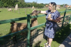 2020.08.01-ZOO-Broumov-07