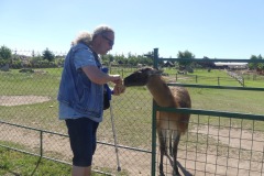 2020.08.01-ZOO-Broumov-17