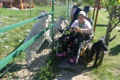 2020.08.01-ZOO-Broumov-19