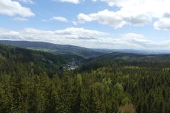 2020.05.30-Stezka-korunami-stromu-11