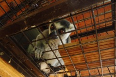 2021.06.12-ZOO-BroumovU-Bulanka-09
