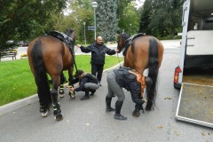 Jizdni-Policie-CR-02