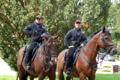 Jizdni-Policie-CR-03