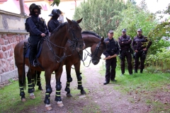 Jizdni-Policie-CR-04