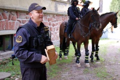 Jizdni-Policie-CR-05