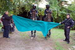 Jizdni-Policie-CR-09