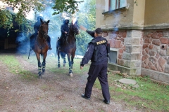 Jizdni-Policie-CR-10
