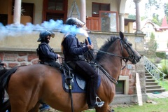 Jizdni-Policie-CR-11