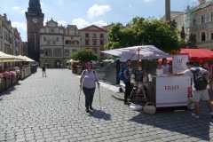 Pardubice-25.6.2019-08
