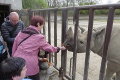 2022.04.30-ZOO-Dv.Kral_.-22
