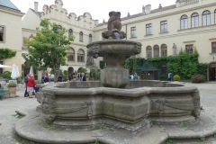 Castolovice-17.8.2019-03