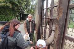 IMG-20241013-WA0056