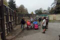 IMG-20241013-WA0090